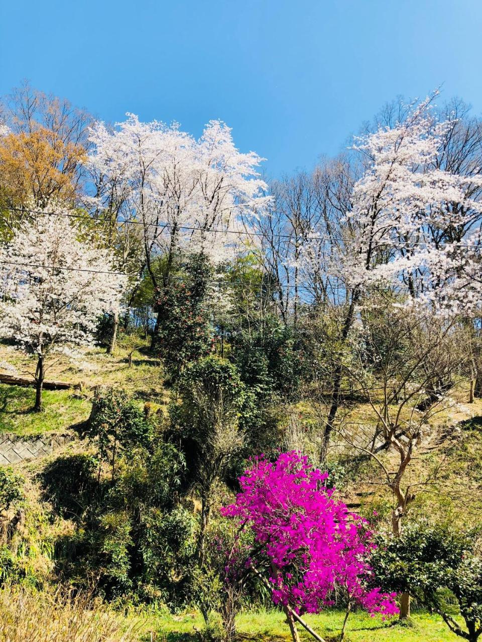 Ryutakuzenji 宿坊 ทาคาซากิ ภายนอก รูปภาพ